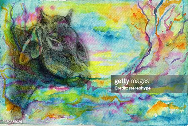 ox - foraging stock illustrations