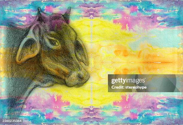 bright oxen - foraging stock illustrations