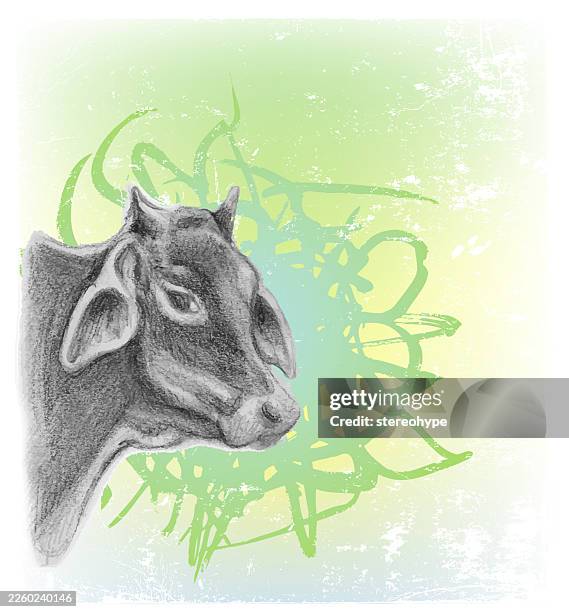 ox head - butcher block stock illustrations