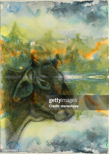 cow at a lake - ground beef stock illustrations