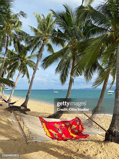 a hammock under palm trees - taken on mobile device stock pictures, royalty-free photos & images