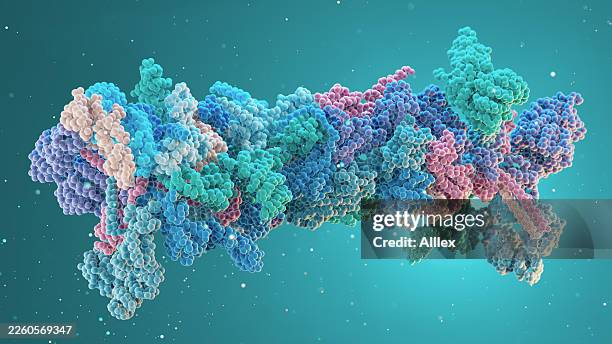 dna polymerase molecular structure, 3d scientific protein visualization on teal background - biochemie stockfoto's en -beelden