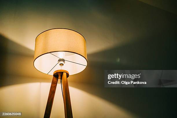floor lamp providing warm ambient light in evening room - lámpara eléctrica fotografías e imágenes de stock