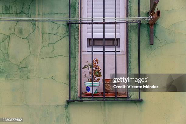 a window with two flower pots - crevice stock pictures, royalty-free photos & images