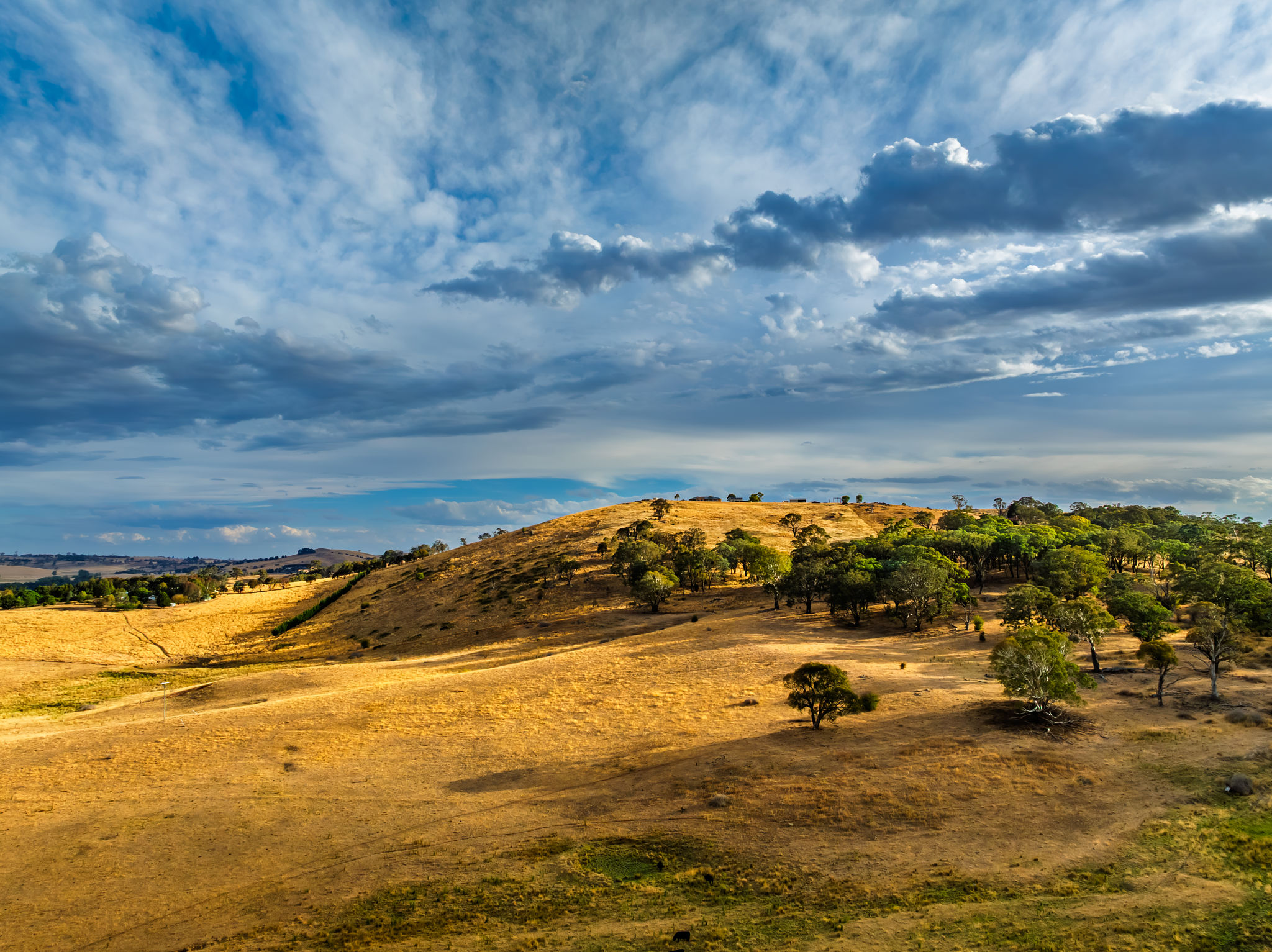 australian landscape summer