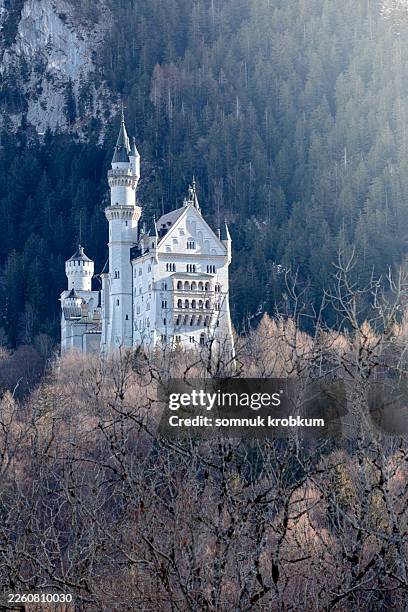 neuschwanstein castle in winter - roller coaster side view stock pictures, royalty-free photos & images