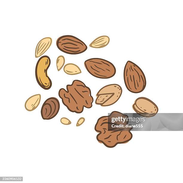 nuts icon - roasted nuts stock illustrations