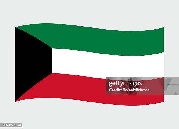 kuwait waving flag. vector - kuwait pattern stock illustrations