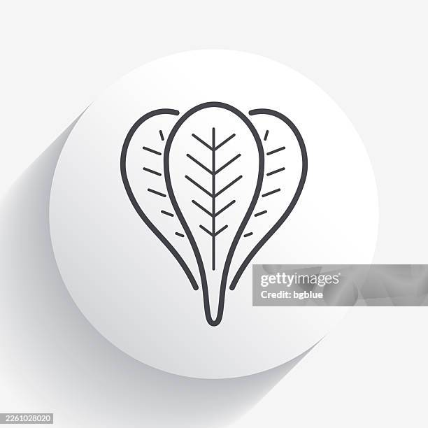 spinach. icon on circle button with long shadow - spinach stock illustrations