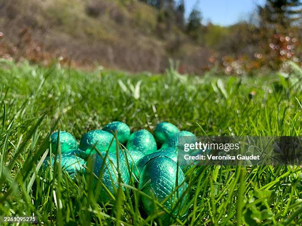 Easter eggs in a meadow
