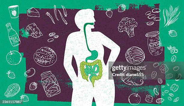 illustrazioni stock, clip art, cartoni animati e icone di tendenza di la silhouette di una donna circondata da cibi che sono adatti allo stomaco - apparato digerente umano