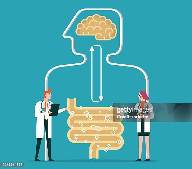 gut brain connection - peripheral nervous system stock illustrations