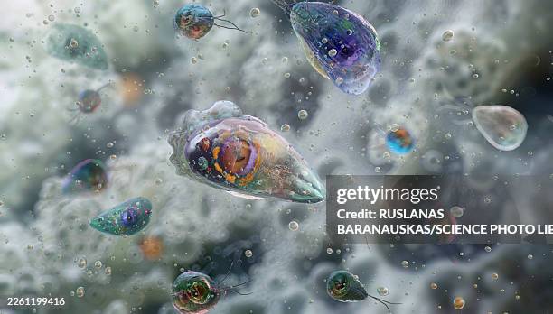 brain-eating amoeba, illustration - amoeba stock illustrations