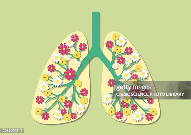 healthy lungs, conceptual illustration - hay fever stock illustrations