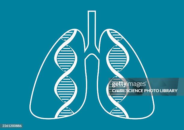 hereditary lung disease, conceptual illustration - inheritance stock illustrations
