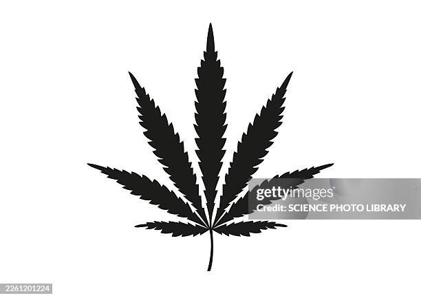 marijuana leaf, illustration - hemp leaf stock illustrations