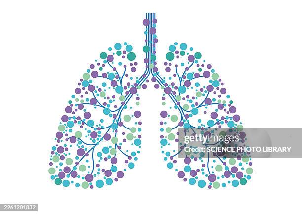 human lungs, conceptual illustration - bronchioles stock illustrations