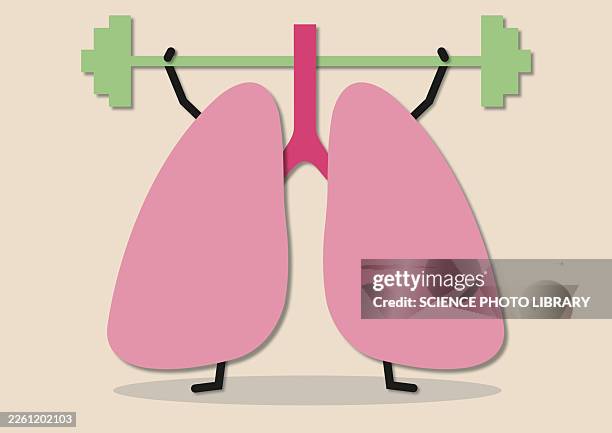 healthy lungs, conceptual illustration - strength concept stock illustrations