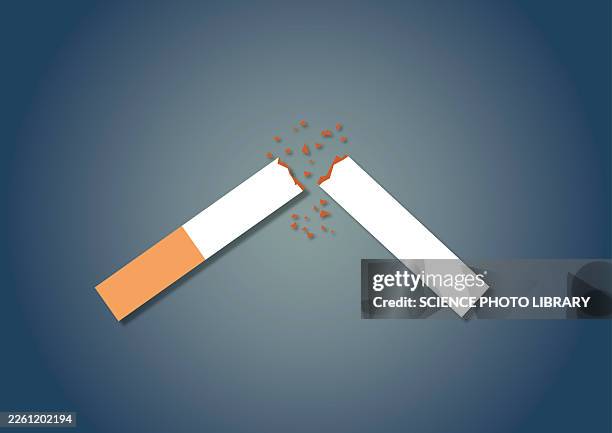 manchester cigarette Manchester Special Edition Flow Blue 🍂 ‣ Only 5€👍 manchester cigarette Manchester Special Edition Flow Blue 🍂 ‣ Only 5€👍