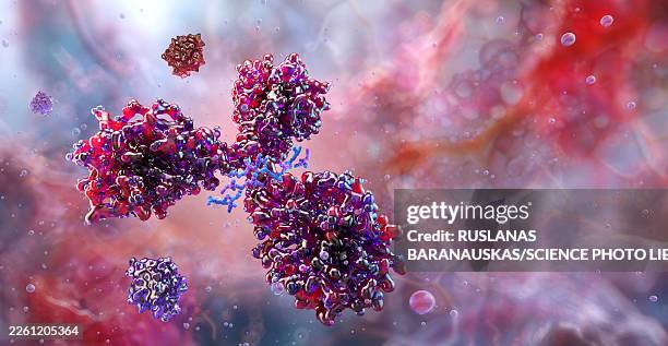 antibody, illustration - glycoprotein stock illustrations