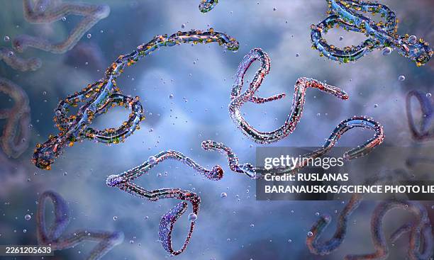 marburg virus particles, illustration - spread germs stock illustrations