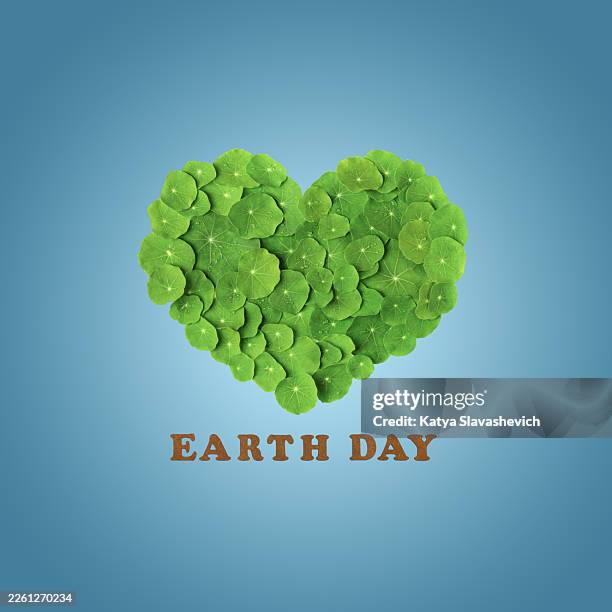 Heart is made of green leaf