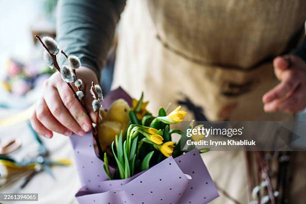 hands tie yellow ribbon around potted narcissus wrapped in purple polka dot paper. easter flower arranging, diy gift wrapping, creative workshop concept, artisan florist studio. - pussy willow stock pictures, royalty-free photos & images