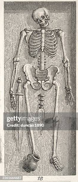 archaeology, ancient history, skeleton from prehistoric burial mound, sword, dagger, jug, germany, 19th century vintage illustration - burial mound stock illustrations