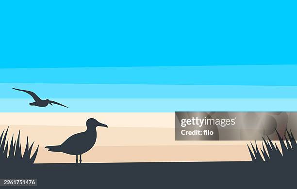 summer beach holiday coastline waves ocean background - marram grass stock illustrations