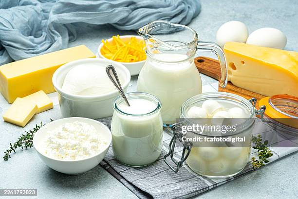 groupe de produits laitiers sur la table. yaourt, beurre de lait et différents rois des fromages. mozzarella, burrata et fromage emmenthal - produit laitier photos et images de collection