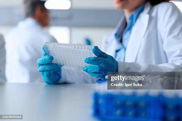 scientist handling microplate during scientific research in laboratory - microplate stock pictures, royalty-free photos & images