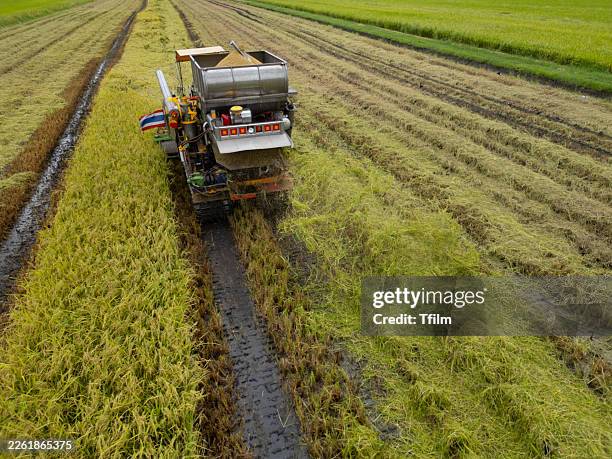 rice harvesting machine driving along muddy track in paddy field - combine stockfoto's en -beelden