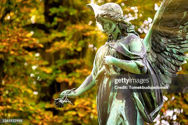 angel - obituary stock pictures, royalty-free photos & images