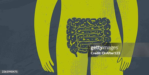 gut microbiota - digestive problems stock illustrations