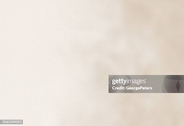 soft, spot lit high key grainy background - lighting technique stock illustrations
