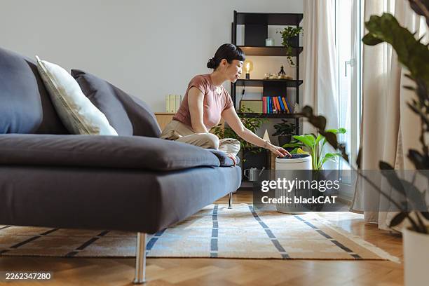 woman adjusting an air purifier in a bright living room for clean indoor air and home comfort - air purifier stock pictures, royalty-free photos & images