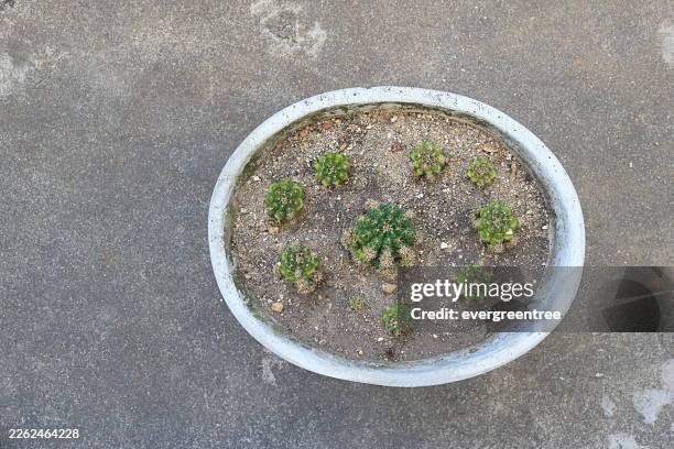 The Star Surrounding the Moon : Just a celestial family gathering in a concrete universe