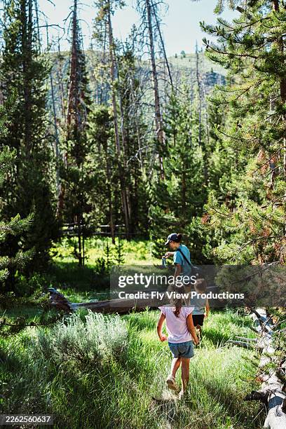 mother and children hiking through forest clearing - national forest stock pictures, royalty-free photos & images