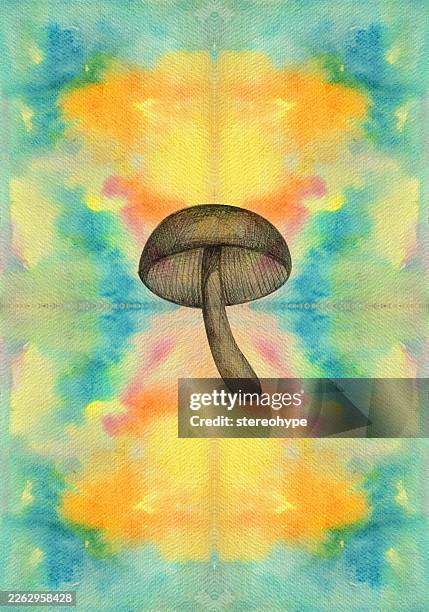 dreamy mushroom - nuclear explosion stock illustrations