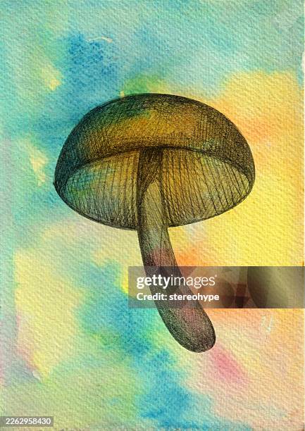 dreamy mushroom - foraging stock illustrations