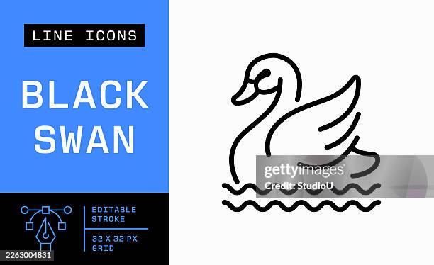 black swan editable stroke line icon - black swan stock illustrations