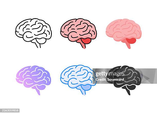 anatomy brain icon. 6 different styles. editable stroke. vector illustration. - brain vector stock illustrations