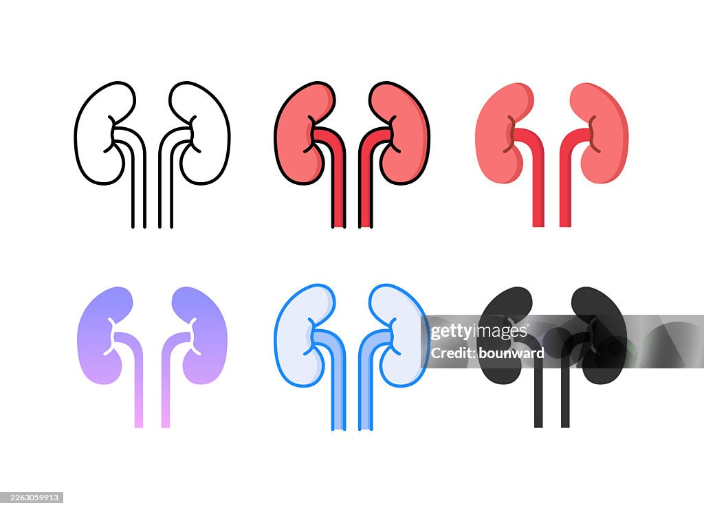Anatomy kidney icon. 6 Different styles. Editable stroke. Vector illustration.