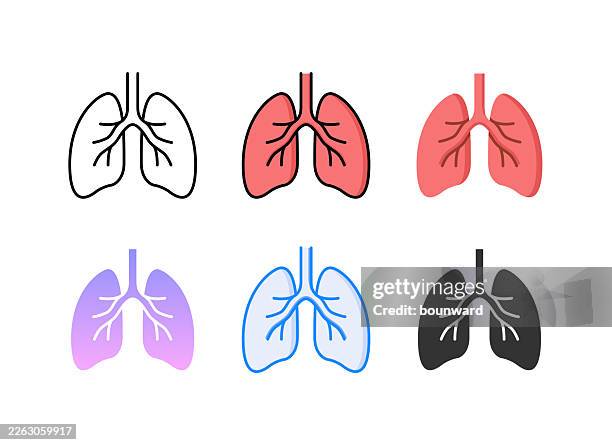 illustrazioni stock, clip art, cartoni animati e icone di tendenza di icona anatomica dei polmoni. 6 stili diversi. tratto modificabile. illustrazione vettoriale. - polmone