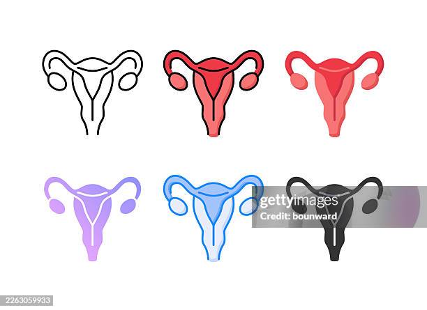 anatomy uterus icon. 6 different styles. editable stroke. vector illustration. - cervix stock illustrations