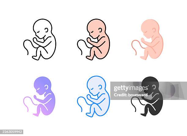 anatomy fetus and pregnancy icon. 6 different styles. editable stroke. vector illustration. - umbilical cord stock illustrations