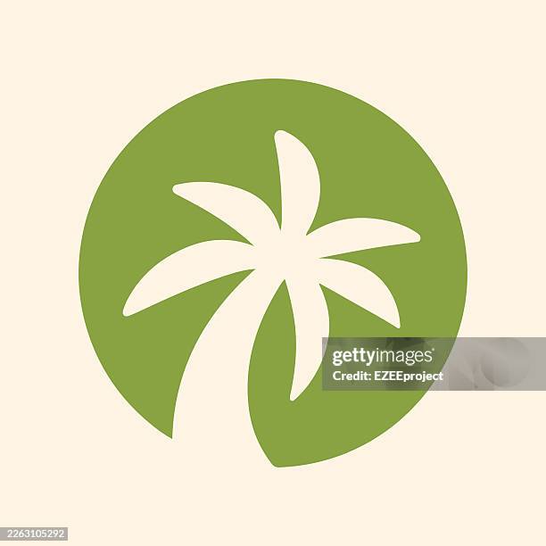minimalist palm tree silhouette inside a green circle. tropical beach resort logo with palm tree icon design. summer vacation and travel agency emblem in green color - nutrition label stock illustrations