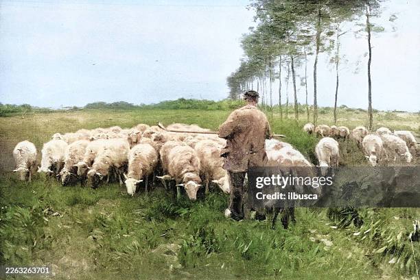 19th century painting: anton mauve, sheep in pasture - shepherd stock illustrations