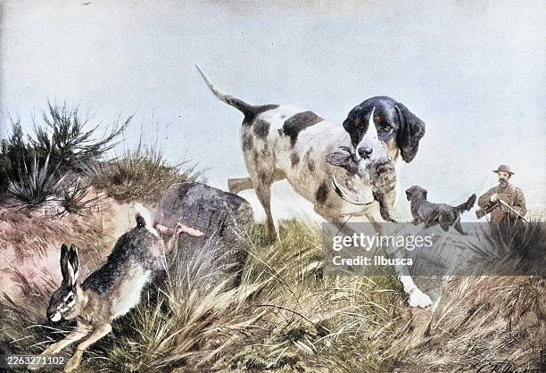 19th century painting: c f deiker, look out! here's something else! - lithograph stock illustrations