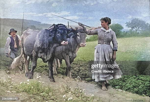 19th century painting: e debat-pousan, the young ox team - wild cattle stock illustrations